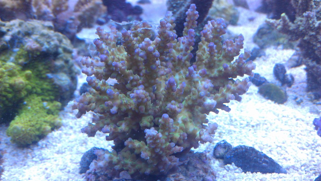 2013-07-23 23.16.22