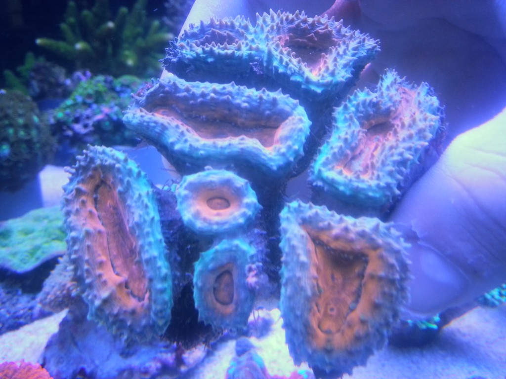 2013-09-17 23.37.23